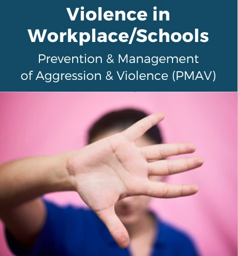violence-work-place-workplace-school-professional management-prevention-aggression-management-course-on-site-in-person